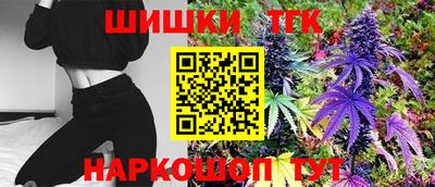 стаф Гатчина