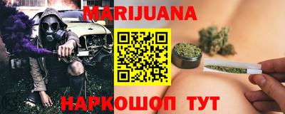 стаф Гатчина