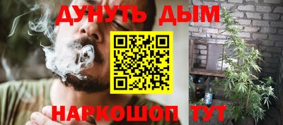 стаф Гатчина
