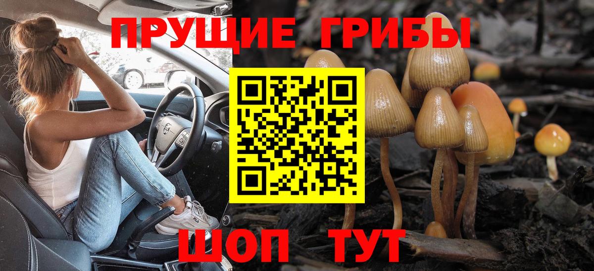 Долгопрудный  Галлюциногенные грибы Psilocybe  Вход с VPN 