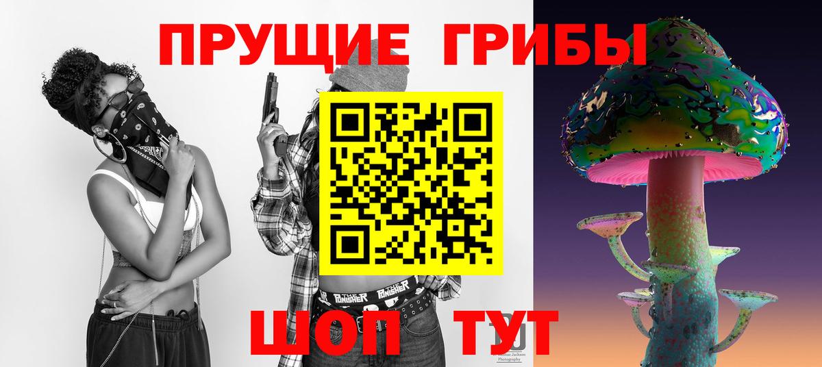 Псилоцибиновые грибы мицелий Долгопрудный